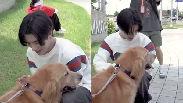 ENHYPEN's Jake Captures Hearts in Dog-Walking Episode, Showcasing Lifelong Canine Affection
